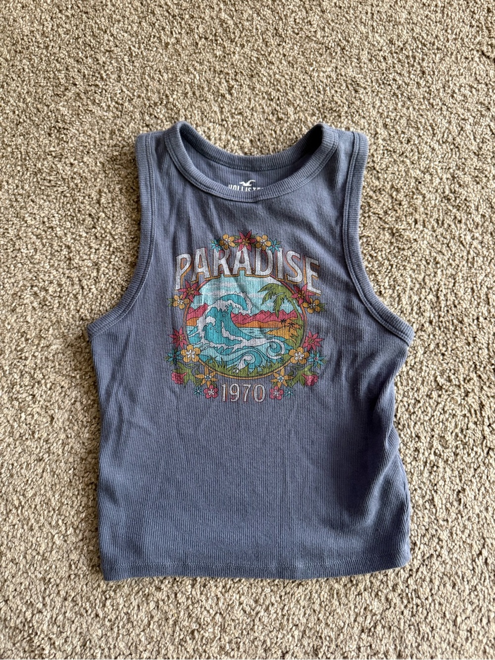 Hollister Paradise Graphic Tank Top - Blue